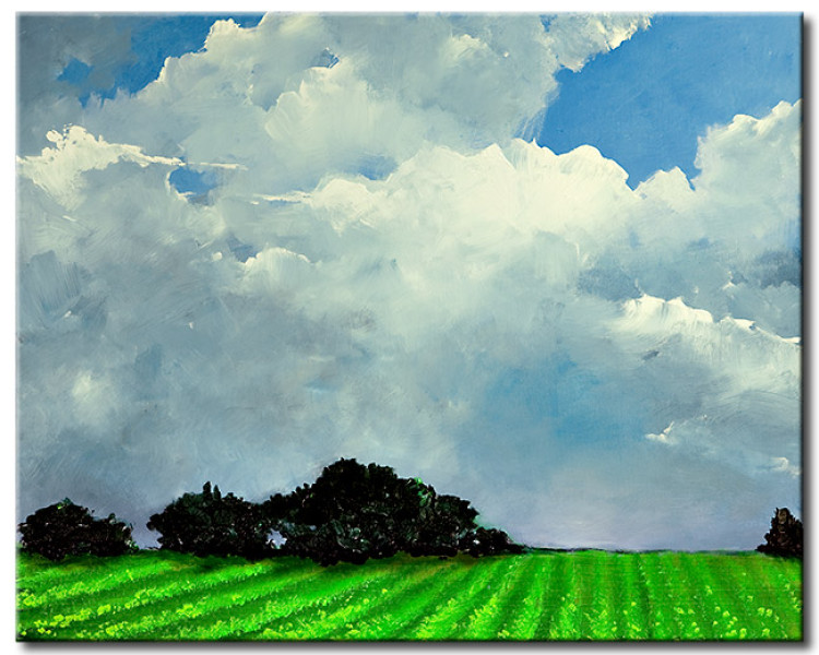 Tableau mural Idylle rurale - un paysage de champ vert sur fond de ciel bleu 49737
