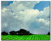 Tableau mural Idylle rurale - un paysage de champ vert sur fond de ciel bleu 49737