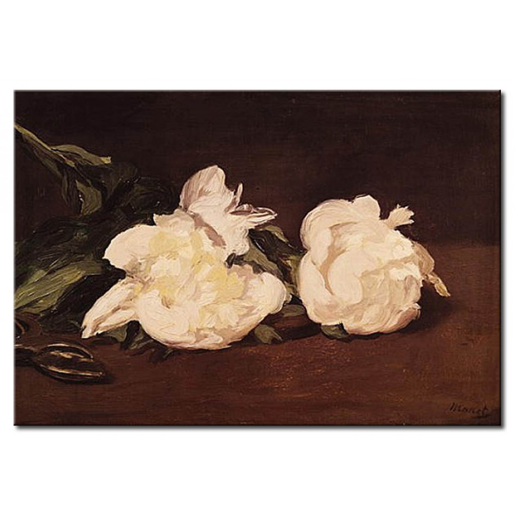 Quadro Famoso Branch Of White Peonies And Secateurs