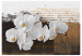 Mural de parede Pensamentos Sentimentais - flores de orquídea em um motivo moderno com inscrições 60237 additionalThumb 1
