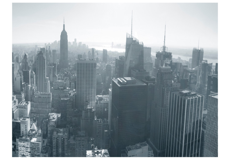 Carta da parati Panorama di New York in bianco e nero 61637 additionalImage 1