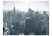 Carta da parati Panorama di New York in bianco e nero 61637 additionalThumb 1