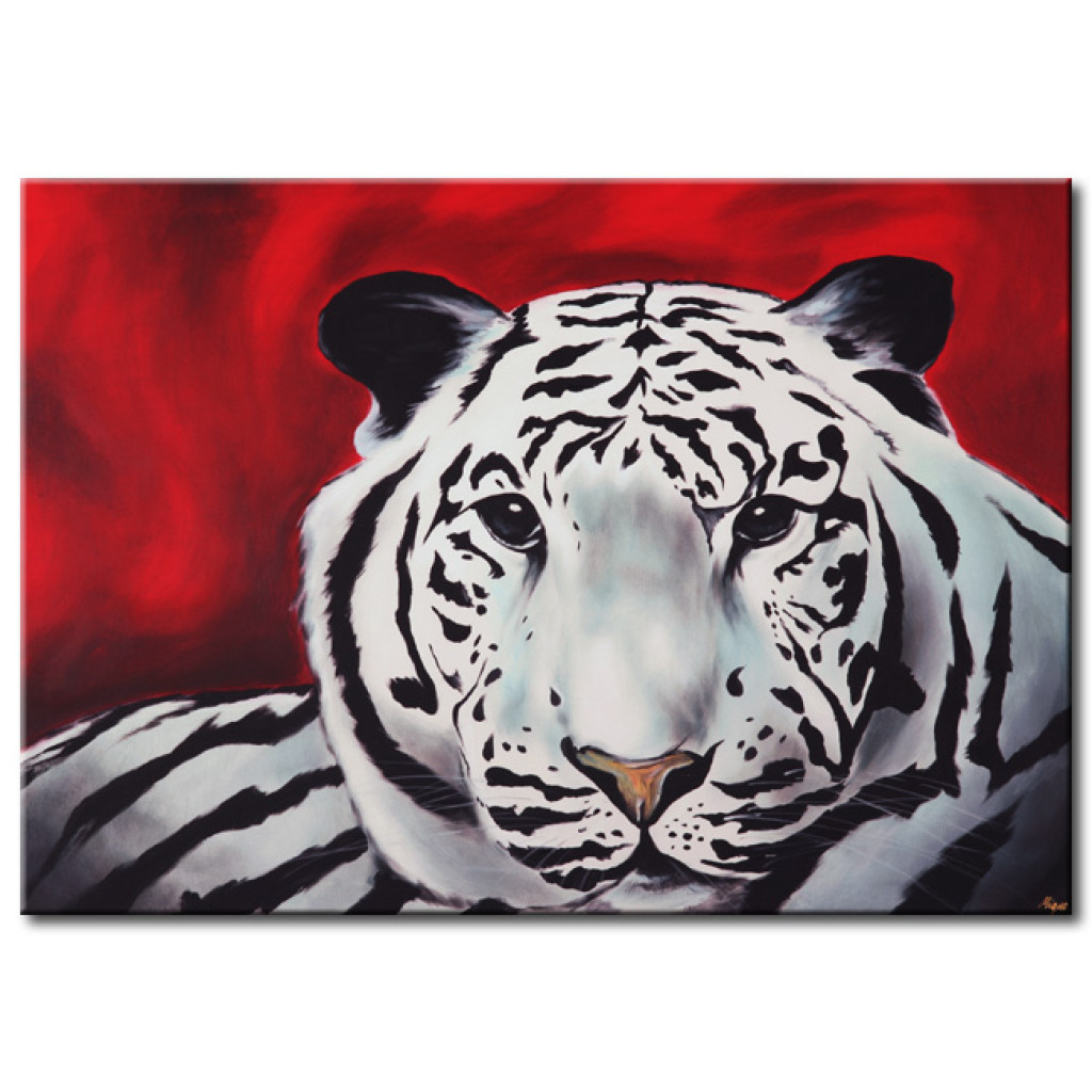 Obraz Tygrys Biały