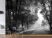 Wall Mural Longtime friends - black and white landscape park with a wide alley and old trees 90537