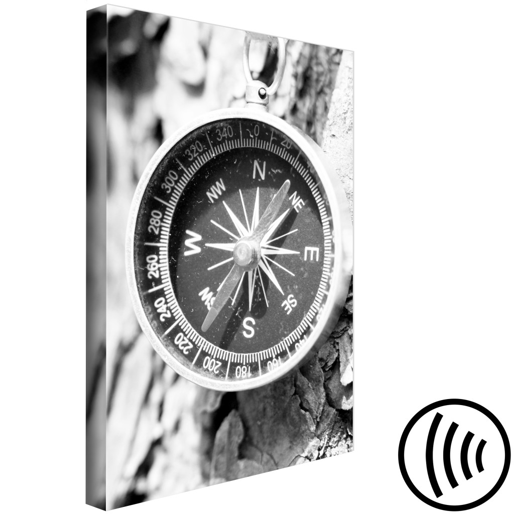 Obraz Kierunek Drogi (1-częściowy) - Czarno-biały Kompas Na Tle Drzewa