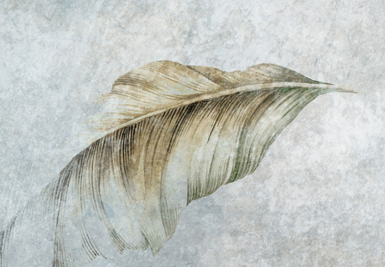 Fotomural decorativo Danza de plumas en el viento - un tema en tonos de gris 138447 additionalImage 4