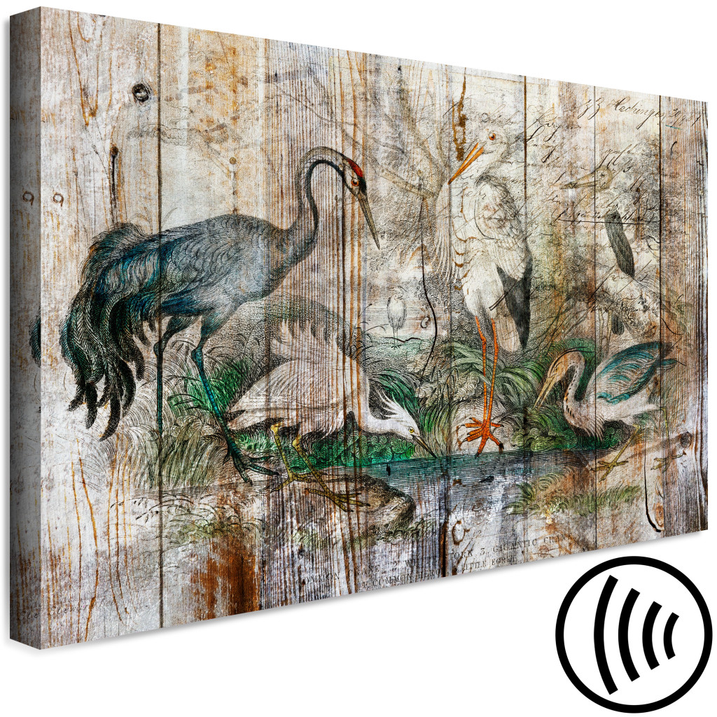 Schilderij  Vintage: From The Chronicles Of Nature - Graphics With Birds On Boards In A Vintage Style