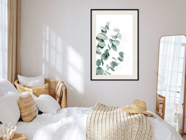 Plakat Liście eukaliptusa - minimalistyczne gałązki rośliny na białym tle 146147 additionalImage 13