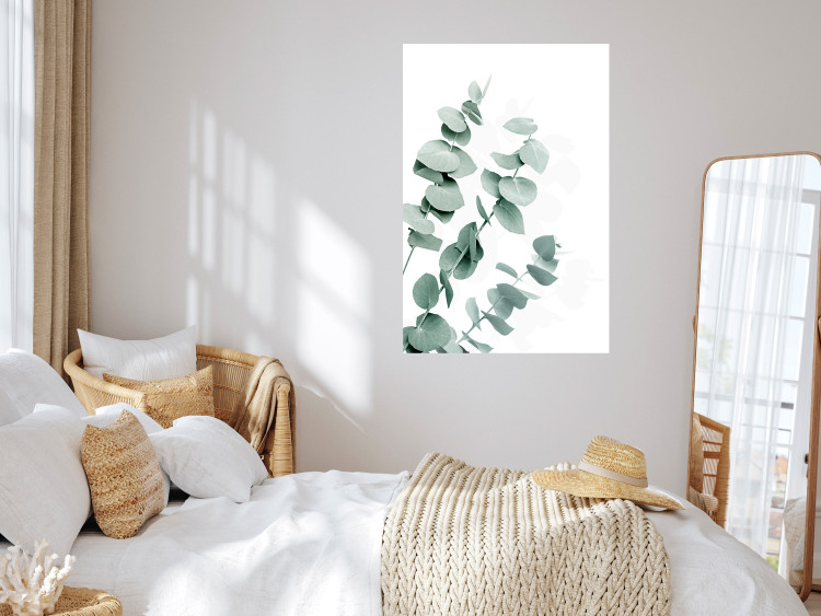 Plakat Liście eukaliptusa - minimalistyczne gałązki rośliny na białym tle 146147 additionalImage 9