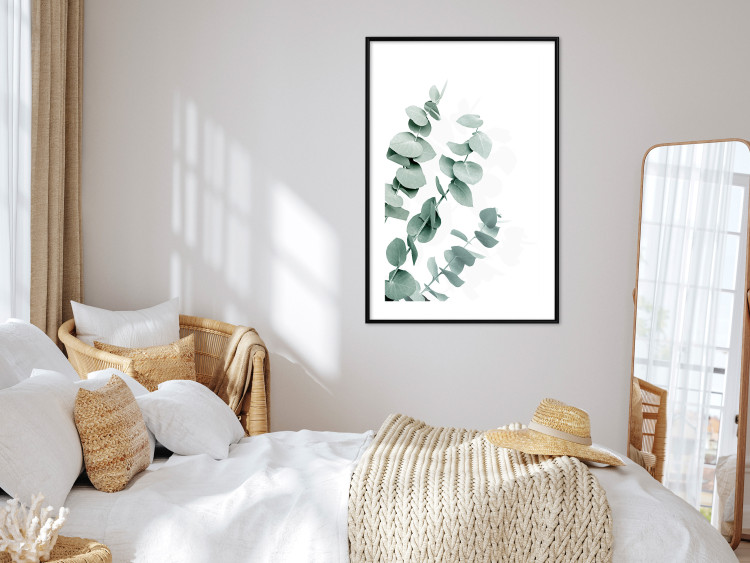 Plakat Liście eukaliptusa - minimalistyczne gałązki rośliny na białym tle 146147 additionalImage 23