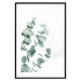 Wall Poster Eucalyptus Leaves - Minimalist Plant Twigs Isolated on White 146147 additionalThumb 24