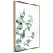 Wall Poster Eucalyptus Leaves - Minimalist Plant Twigs Isolated on White 146147 additionalThumb 10