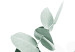 Wall Poster Eucalyptus Leaves - Minimalist Plant Twigs Isolated on White 146147 additionalThumb 2