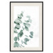Wall Poster Eucalyptus Leaves - Minimalist Plant Twigs Isolated on White 146147 additionalThumb 27