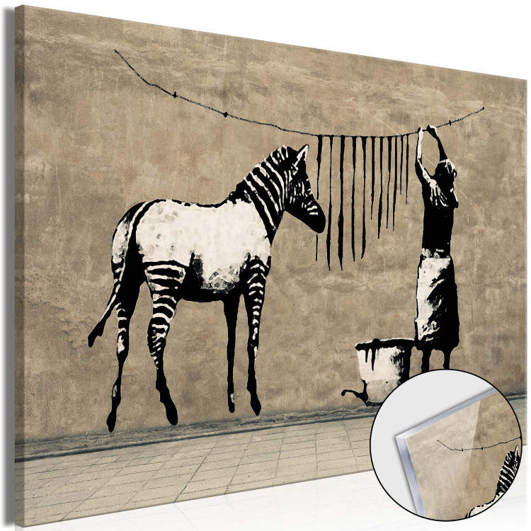 Acrylic Print Zebra Washing on Concrete [Glass] 150847