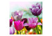 Wall Mural Beautiful Spring Garden - Sunny Floral Motif with Tulip Flowers 60347 additionalThumb 1