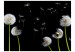 Wall Mural Dandelions in the wind 60647 additionalThumb 1
