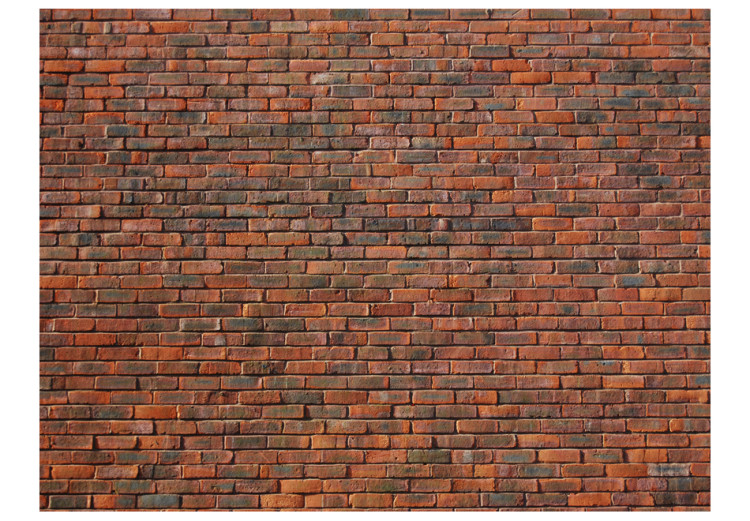 Wall Mural Design: brick 60947 additionalImage 1