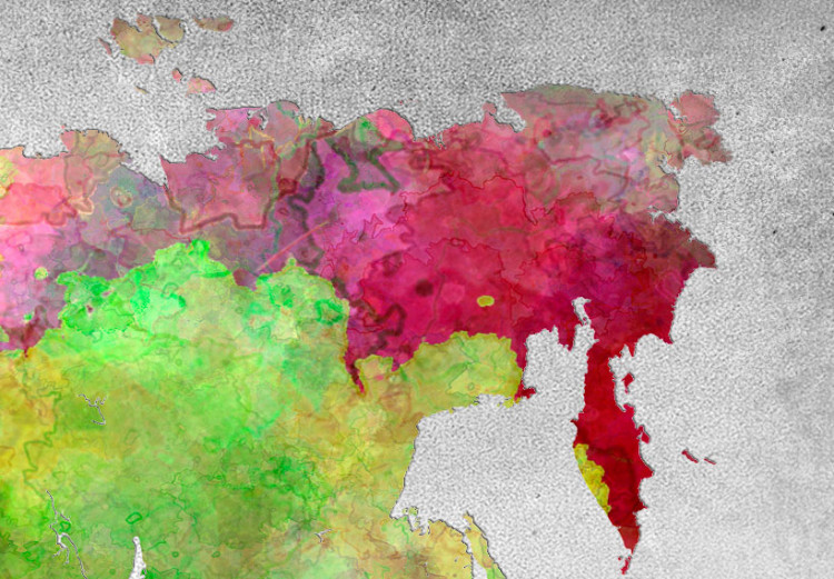 Tablero decorativo en corcho Diversity of World [Cork Map] 92147 additionalImage 6