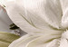 Fototapeta Olśnienie - białe kwiaty ze złotymi ornamentami na tle z pikowaniem 94847 additionalThumb 3