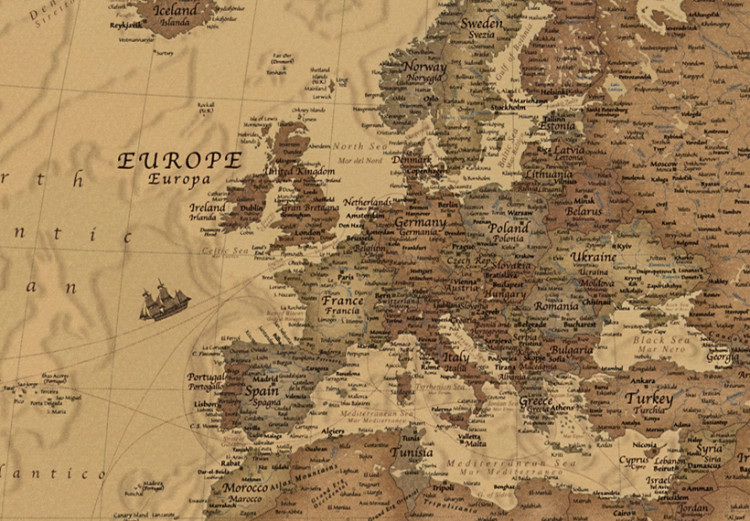 Tablero decorativo en corcho Stylish World Map [Cork Map] 95947 additionalImage 6