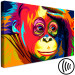 Obraz Kolorowy orangutan (1-częściowy) szeroki 108257 additionalThumb 6