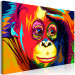 Obraz Kolorowy orangutan (1-częściowy) szeroki 108257 additionalThumb 2