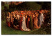 Reprodukcja obrazu Adoration of the Lamb 111157