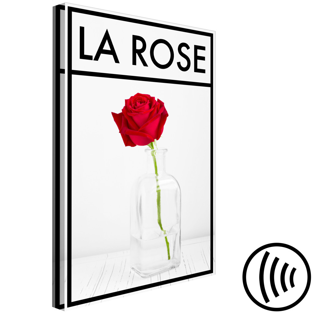 Obraz Róża - Intensywnie Czerwony Kwiat Róży W Wazonie Na Blado Szarym Tle Z Czarną Ramką I Napisem W Języku Francuskim Idealny Do Pokoju Lub Jadalni