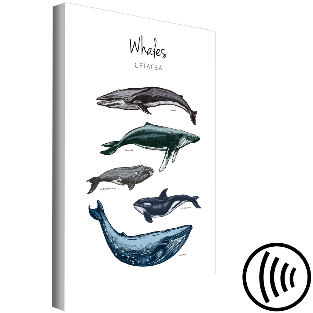 Schilderij  Vissen: Whales (1 Part) Vertical