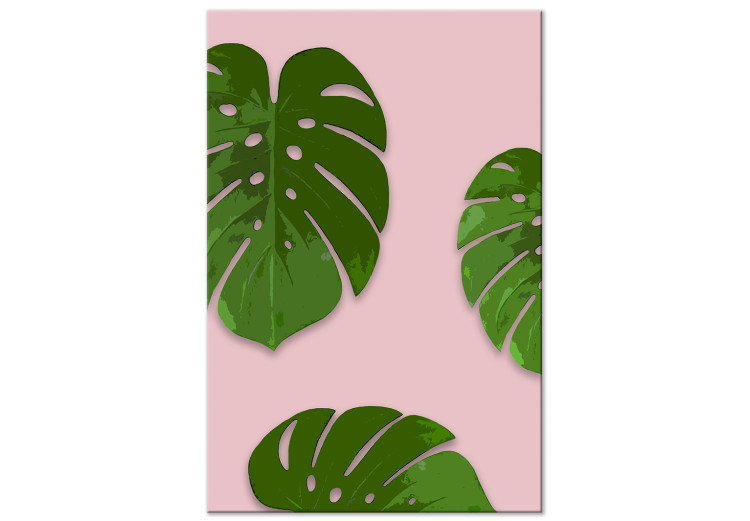 Quadro su tela Esotica levitante  - foglie tropicali di monstera su uno sfondo rosa, decorazione ideale per un soggiorno e come regalo