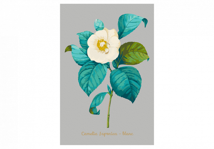 Kit de peinture par numéros Beautiful Camellia 131457 additionalImage 7