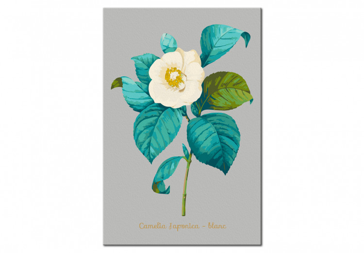 Kit de peinture par numéros Beautiful Camellia 131457 additionalImage 6