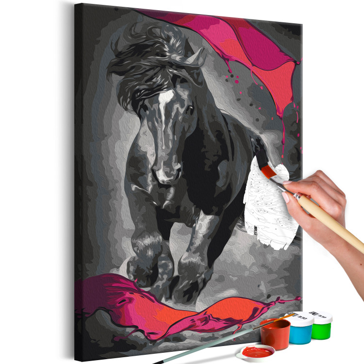 Paint by number Mysterious Horse 142757 additionalImage 5