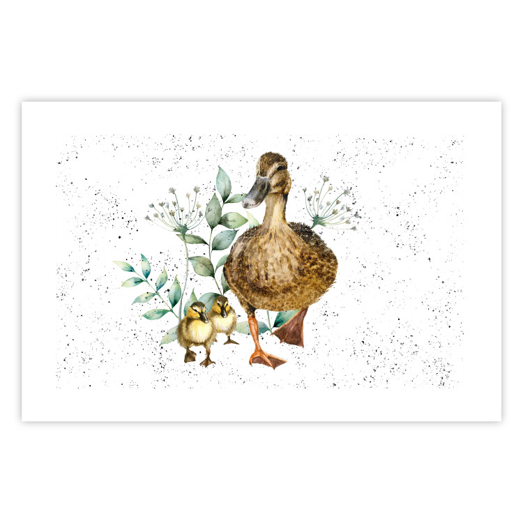 Wall Poster The Family of Ducks - Cute Painted Animals and Plants on the Background With Splashes 145757 additionalImage 18
