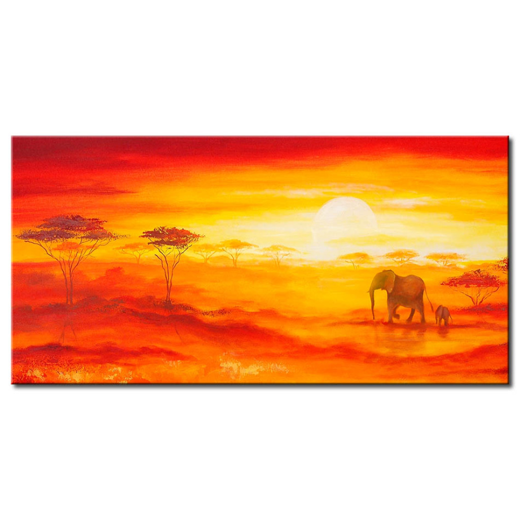 Schilderij  Dieren: Woestijn In De Zonsondergang