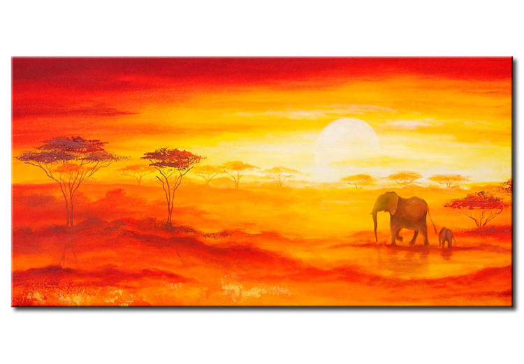 Quadro Le luci del tramonto africano 49457