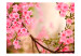 Wall Mural Pink Azaleas - Close-up of Flowers on a Bright Blurred Plant Background 60457 additionalThumb 1