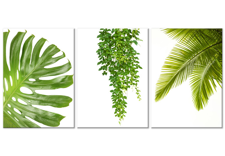 Canvas Art Print Beautiful Palm Trees (3 Parts) 108567
