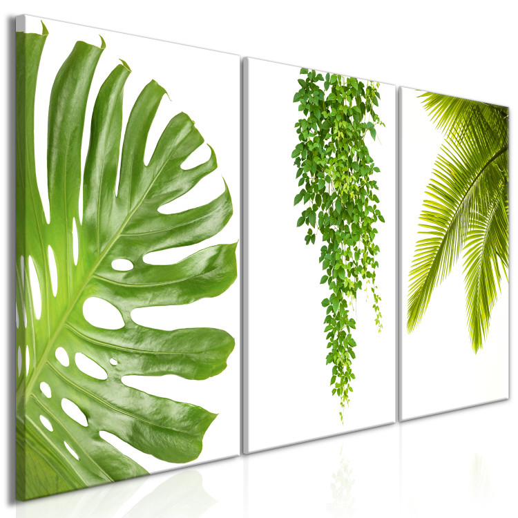 Canvas Art Print Beautiful Palm Trees (3 Parts) 108567 additionalImage 2