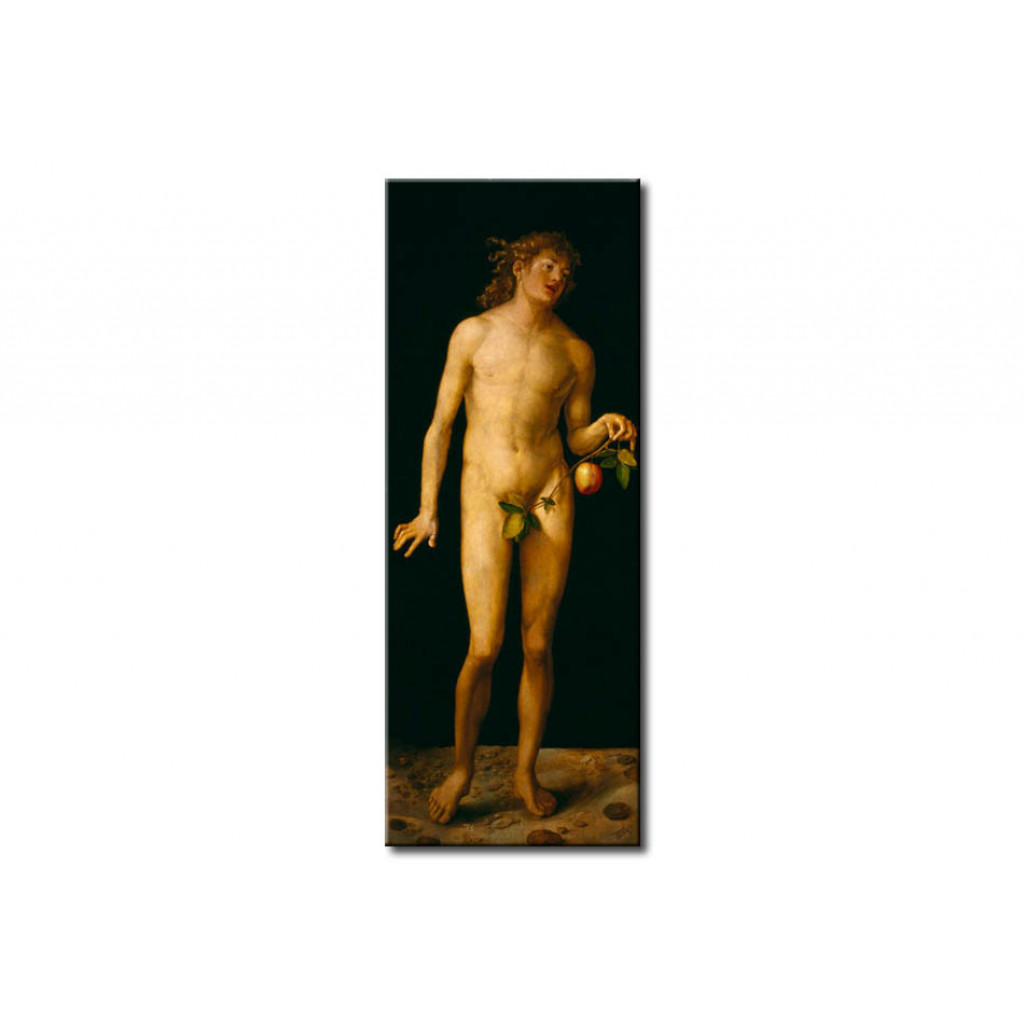Schilderij  Albrecht Dürer: Adam