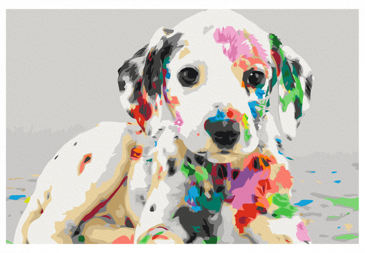 Paint by number Colourful Puppy 127567 additionalImage 7