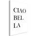 Quadro Scritta italiana Ciao bella - composizione tipografica in bianco-nero 135867 additionalThumb 2