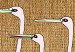 Wall Poster Asian Cranes [Poster] 142467 additionalThumb 5