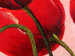 Quadro em tela Tulipas alegres (1 parte) - flores vermelhas em um fundo pastel 48667 additionalThumb 3