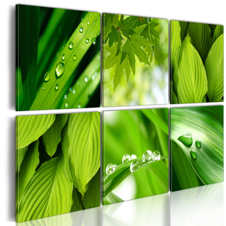 Cuadro moderno El verde fresco de las hojas 50467 additionalImage 2