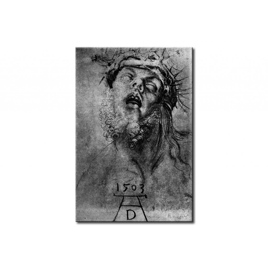 Schilderij  Albrecht Dürer: Head Of The Dead Christ