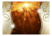 Fototapeta Bursztynowe słońce - abstrakcja z blaskiem na brązowym tle z deseniami 61367 additionalThumb 1