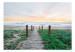 Carta da parati Tra le erbe - paesaggio con un sentiero che porta alla spiaggia 61667 additionalThumb 1