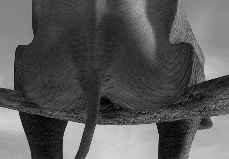 Wandbild Resting Elephant 97367 additionalImage 5